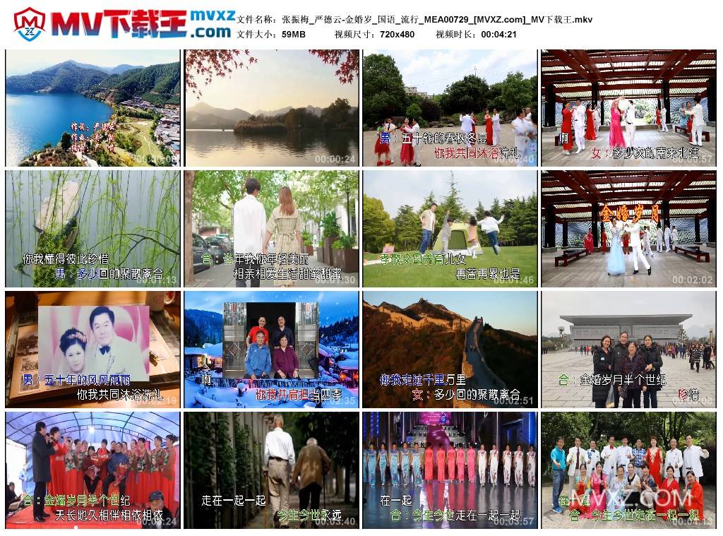 张振梅_严德云-金婚岁_国语_流行_MEA00729
